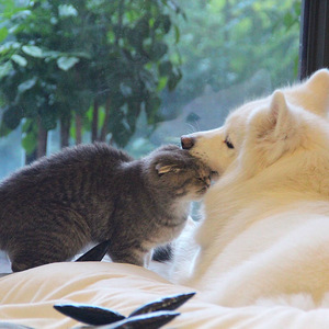 裸体动漫美女自慰
